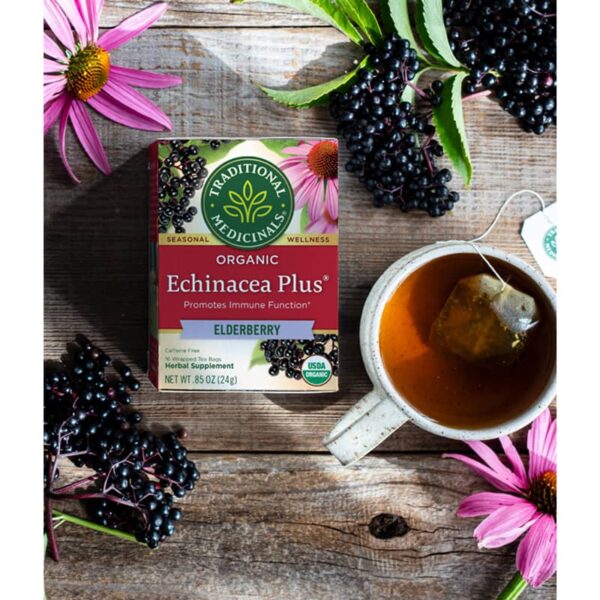 Traditional Medicinals Echinacea Plus Elderberry Tè
